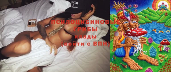 шишки Алексин