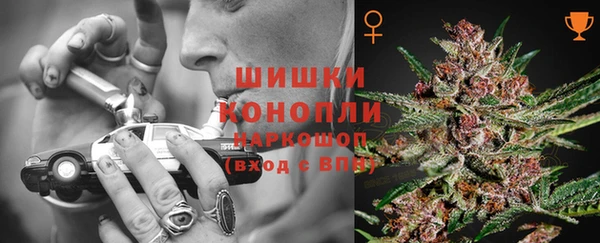 шишки Алексин