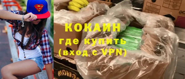 шишки Алексин