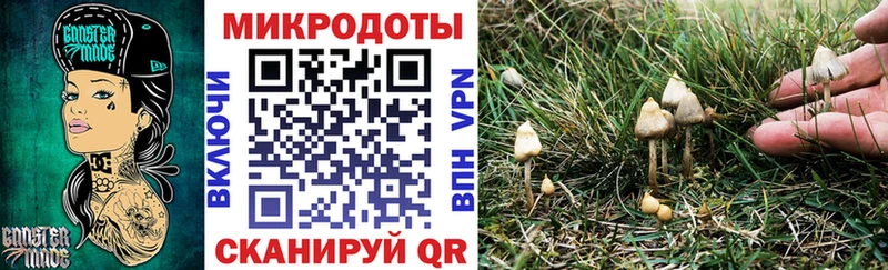 Галлюциногенные грибы мухоморы  Прохладный 